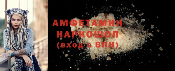 индика Богданович