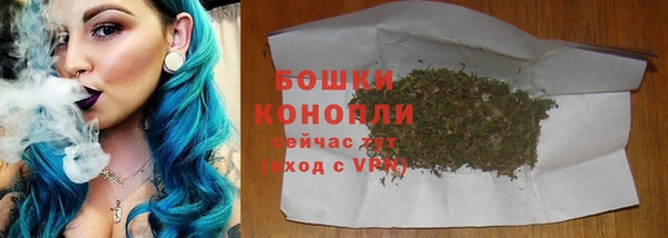 СК Вяземский