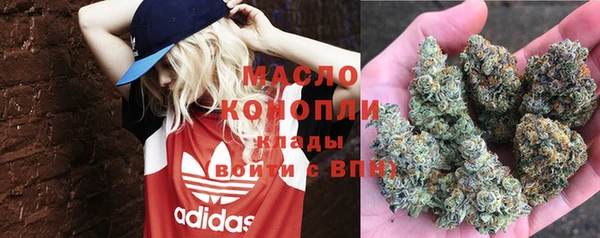 СК Вяземский